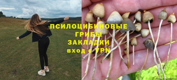 первитин Козельск