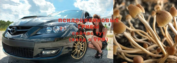 прущие крисы Корсаков