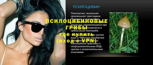 соль ск Костерёво