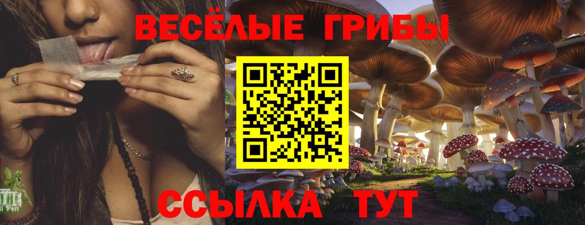 Галлюциногенные грибы прущие грибы  Вход с VPN  Краснознаменск 