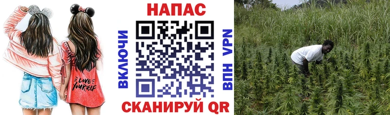 Бошки Шишки гибрид  Краснознаменск 